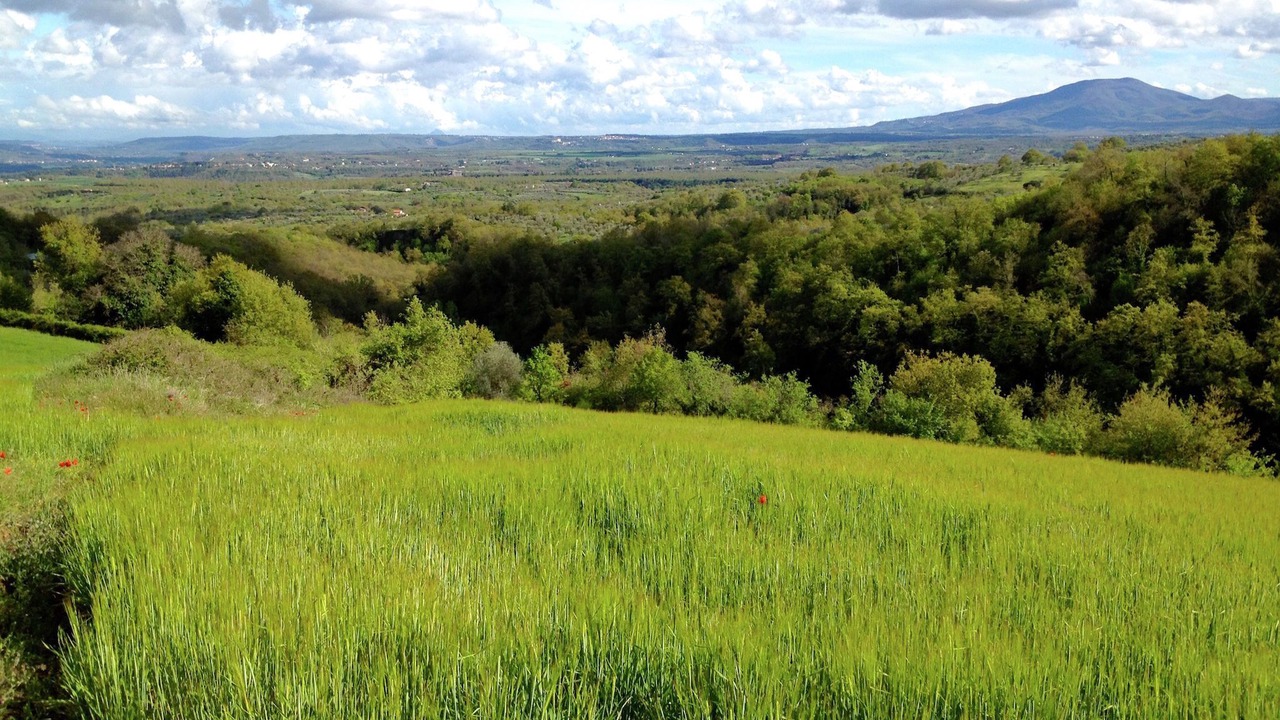 Photo of Outdoor in Graffignano