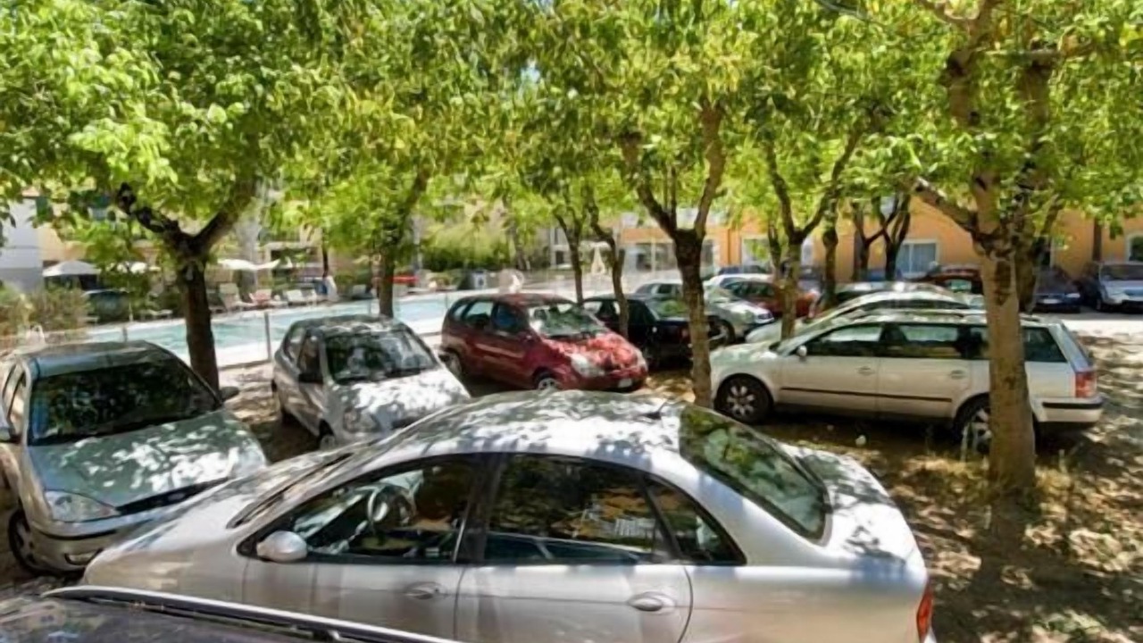 Photo of Others in Cervia