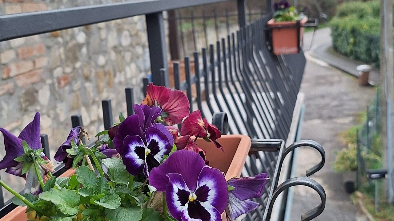 Photo of Outdoor in Capocavallo