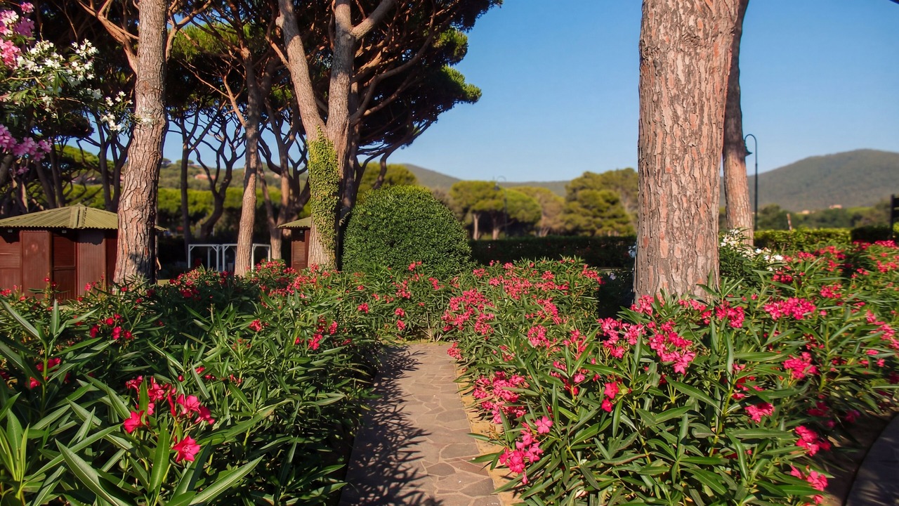 Photo of Outdoor in Punta Ala
