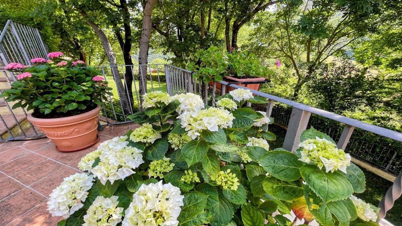 Photo of Outdoor in Spoleto