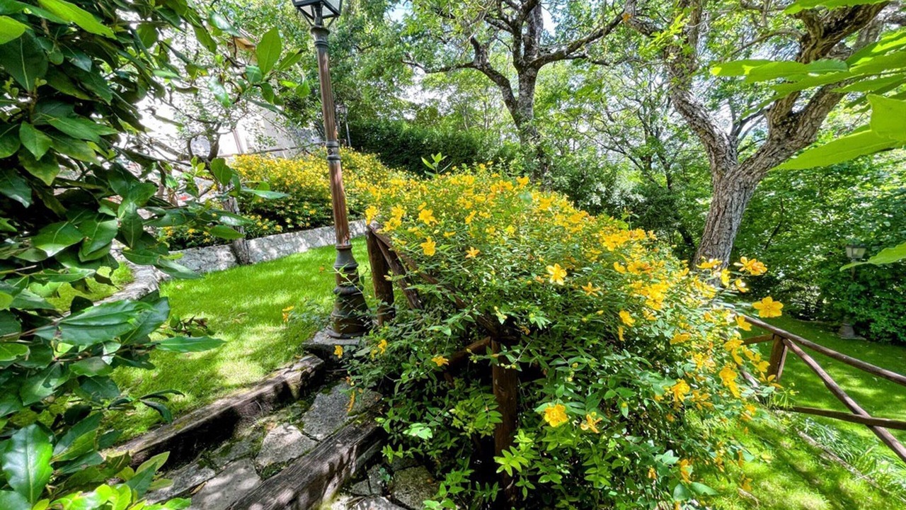 Photo of Outdoor in Spoleto