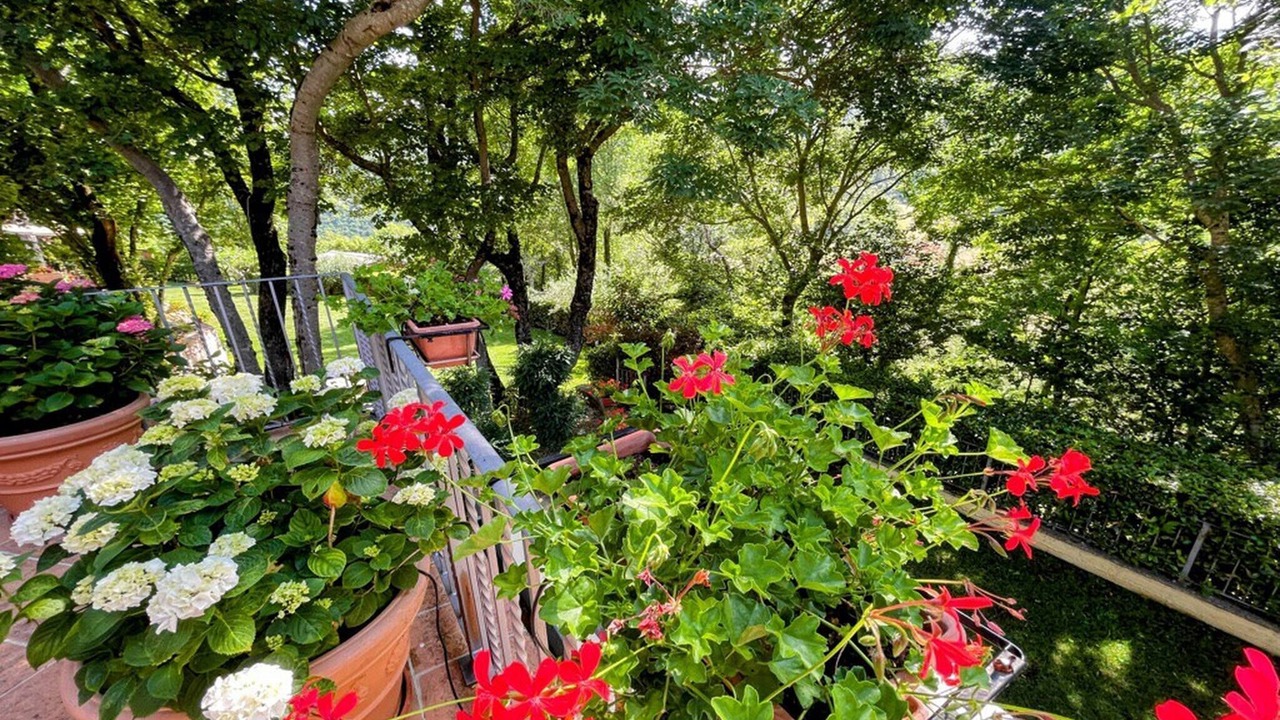 Photo of Outdoor in Spoleto