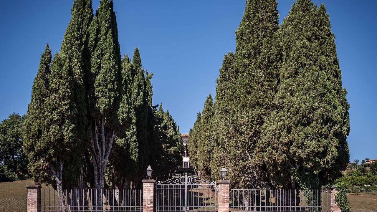 Photo of Outdoor in Monteluiano