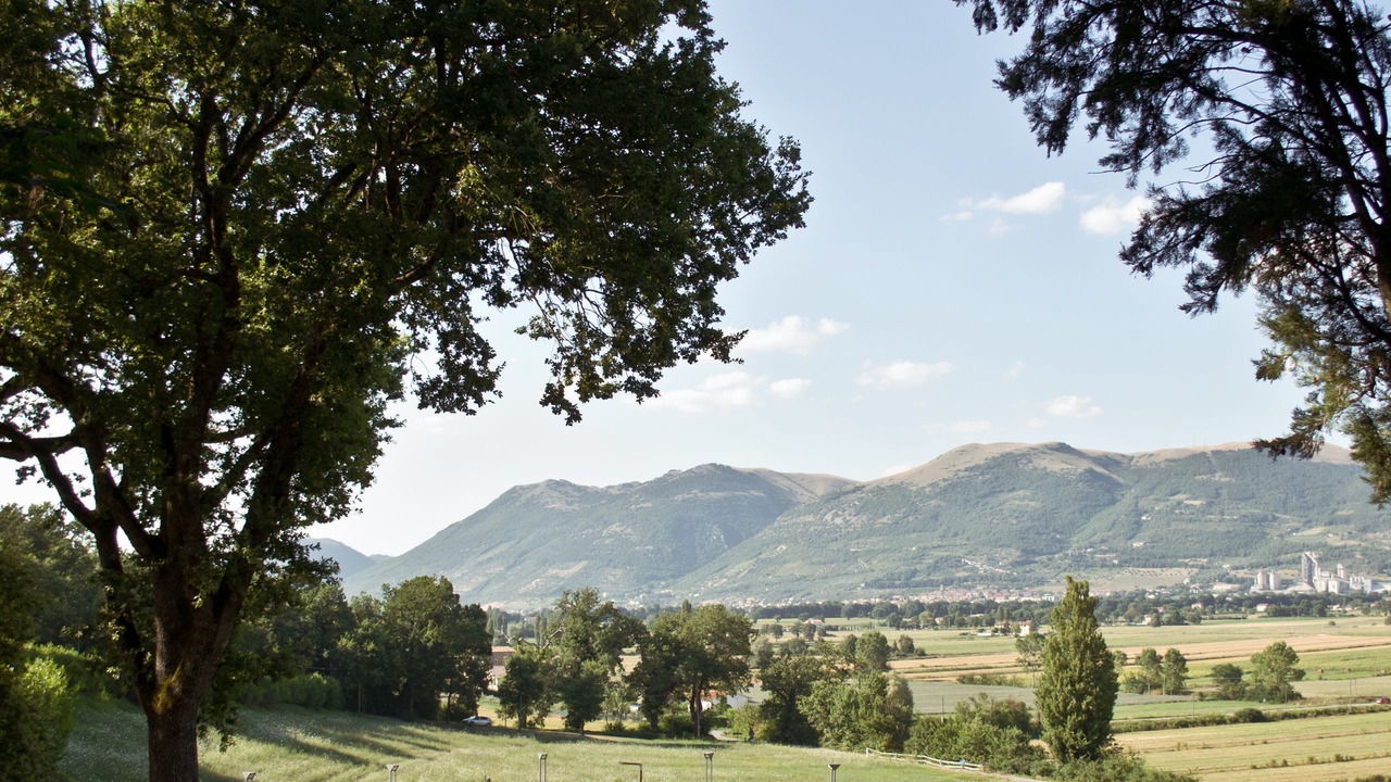 Photo of Outdoor in Monteluiano