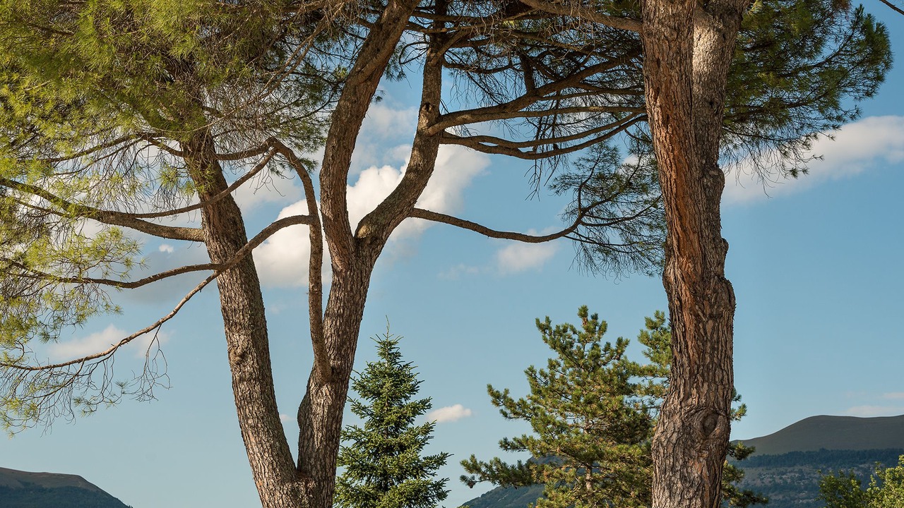 Photo of Outdoor in Monteluiano