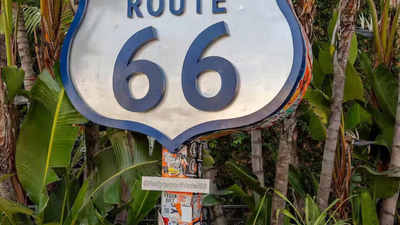 Photo of Outdoor in East Hollywood