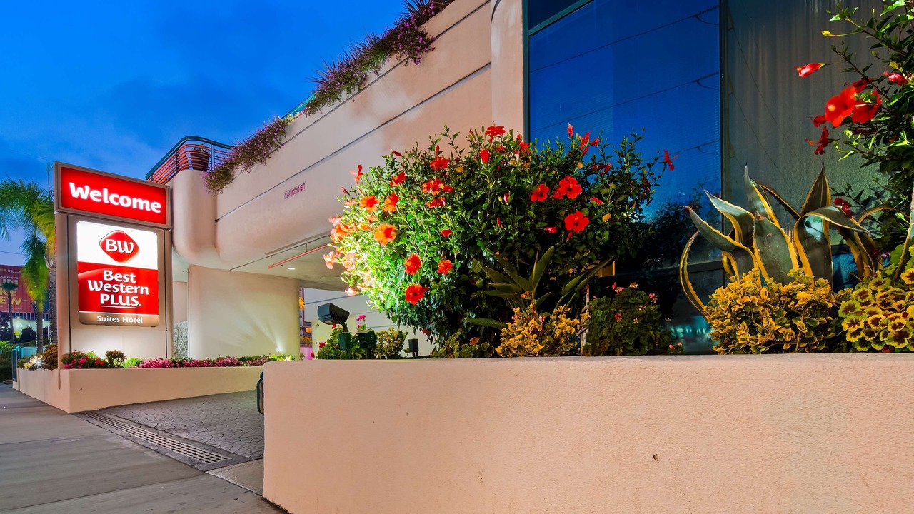 Photo of Outdoor in Inglewood