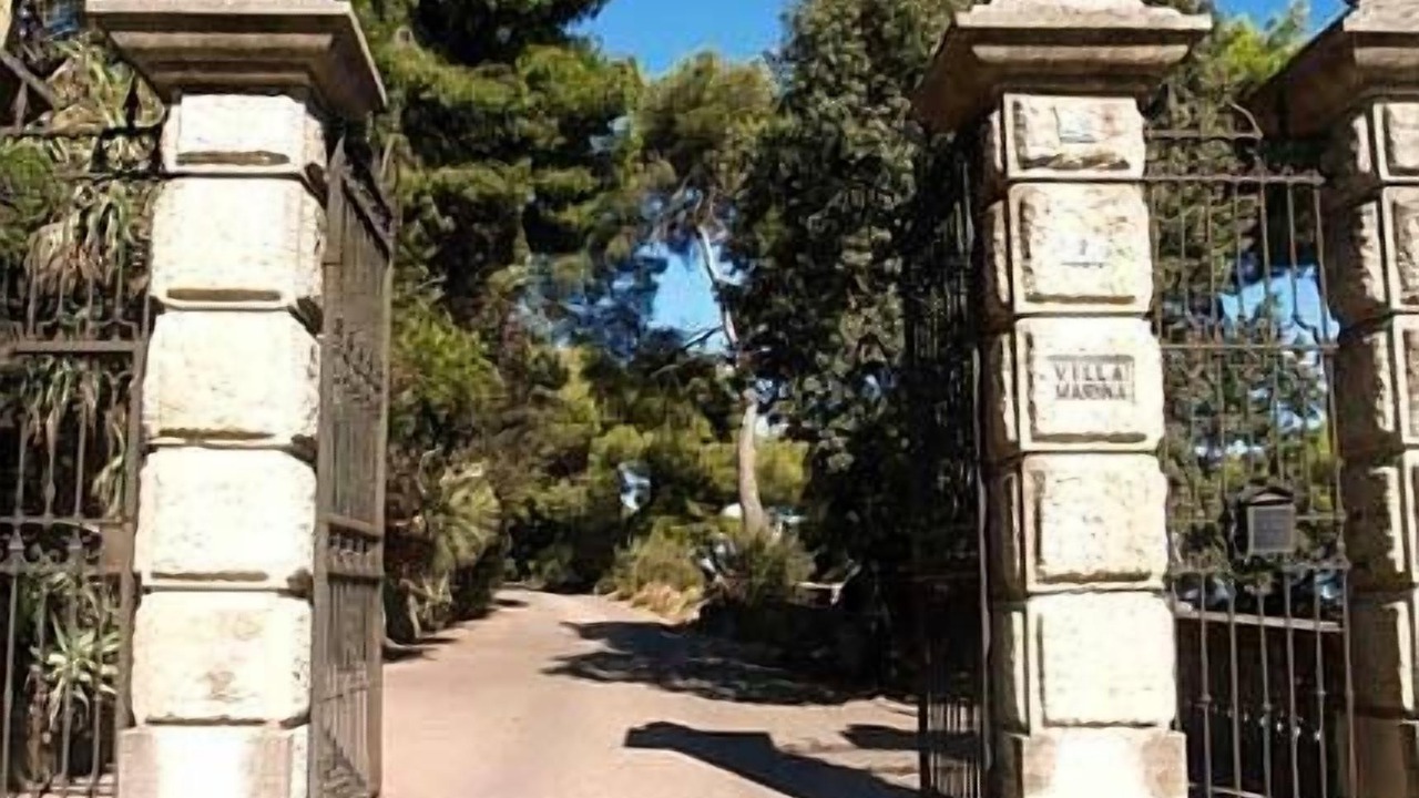 Photo of Outdoor in Imperia