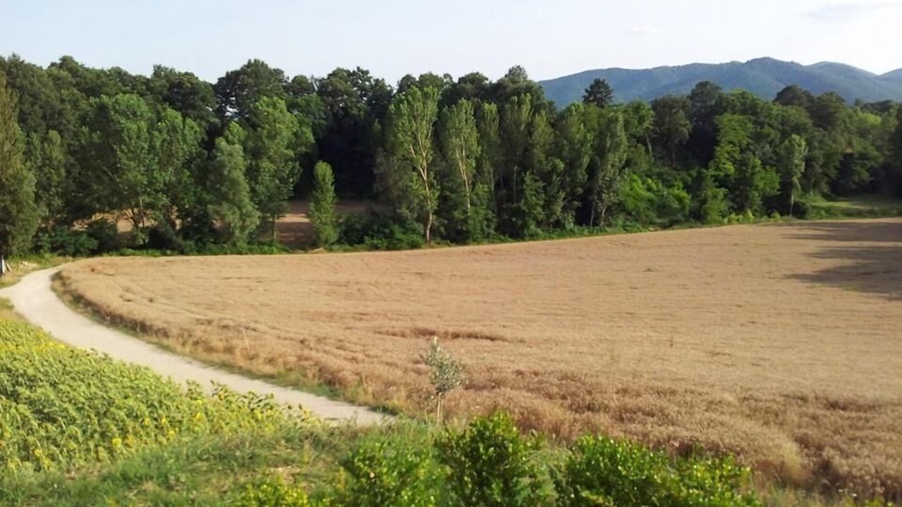 Photo of Outdoor in Coltavolino