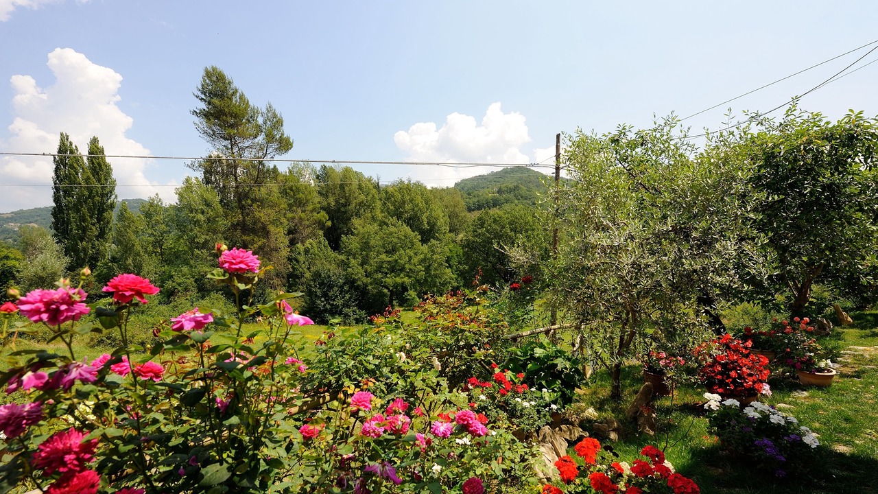 Photo of Outdoor in Casenuove