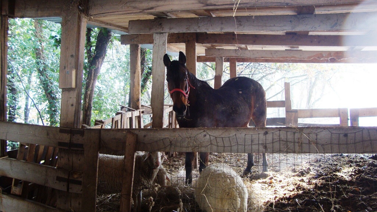 Photo of Others in Ramazzano