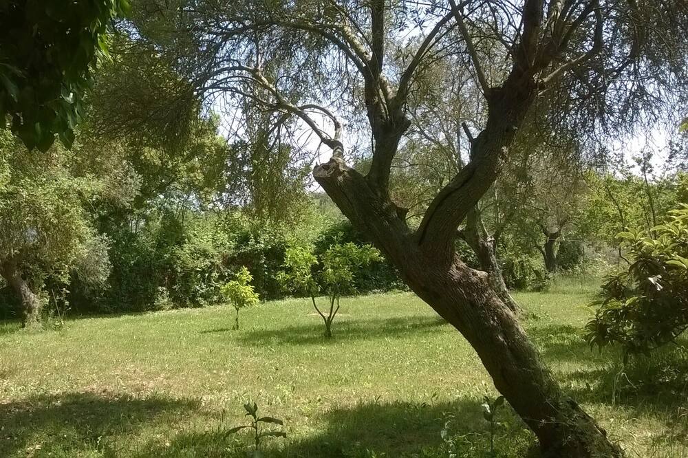 Photo of Outdoor in Priverno