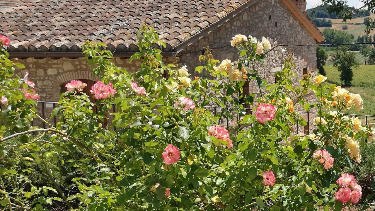 Photo of Outdoor in Fratta