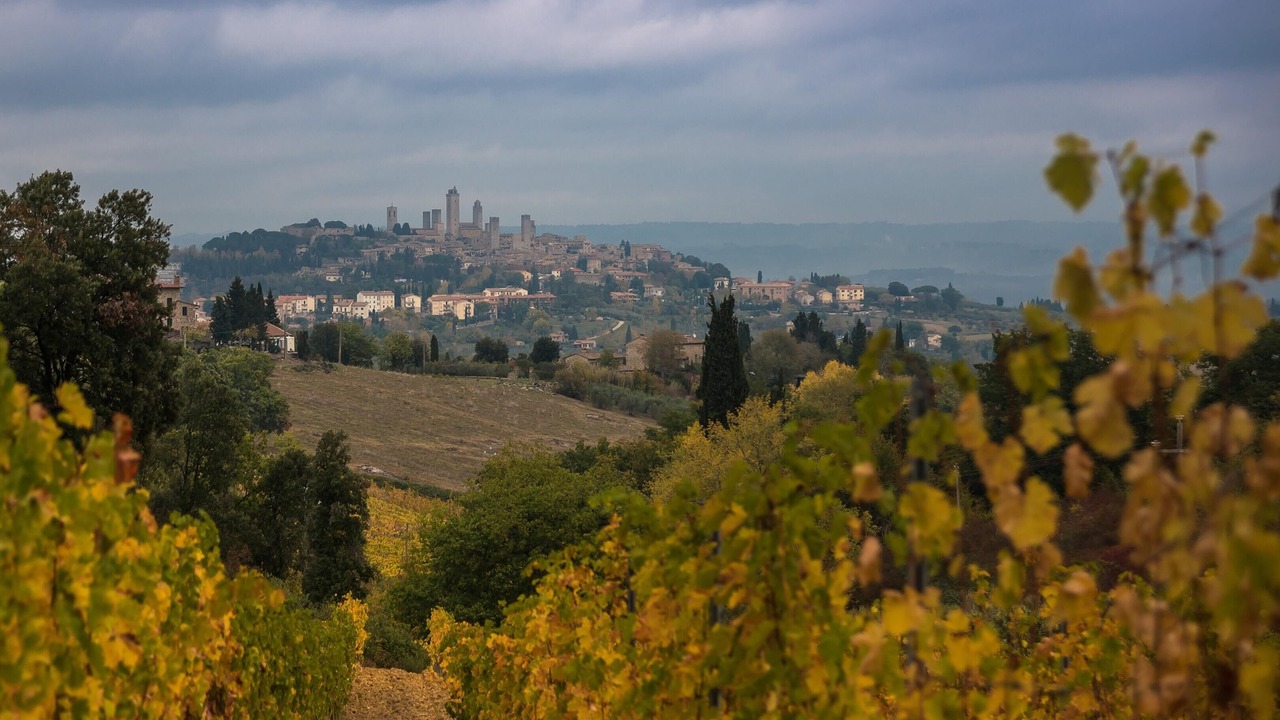 Photo of Outdoor in Roccatederighi