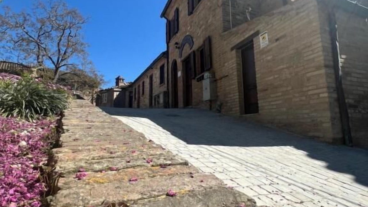 Photo of Outdoor in Amandola