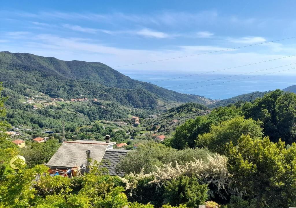 Photo of Others in Moneglia