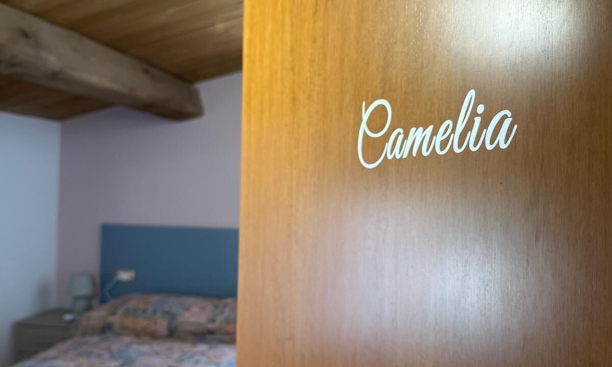 Photo of Bedroom in Amandola