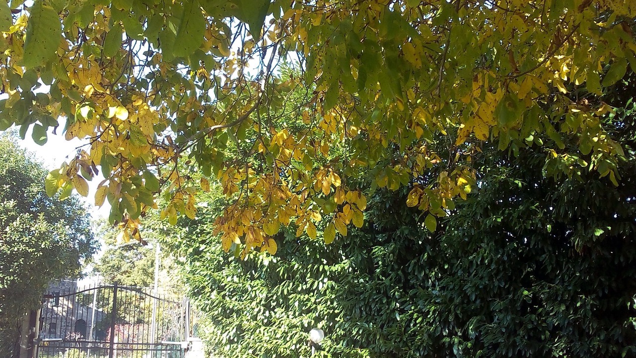 Photo of Outdoor in Castel Giorgio