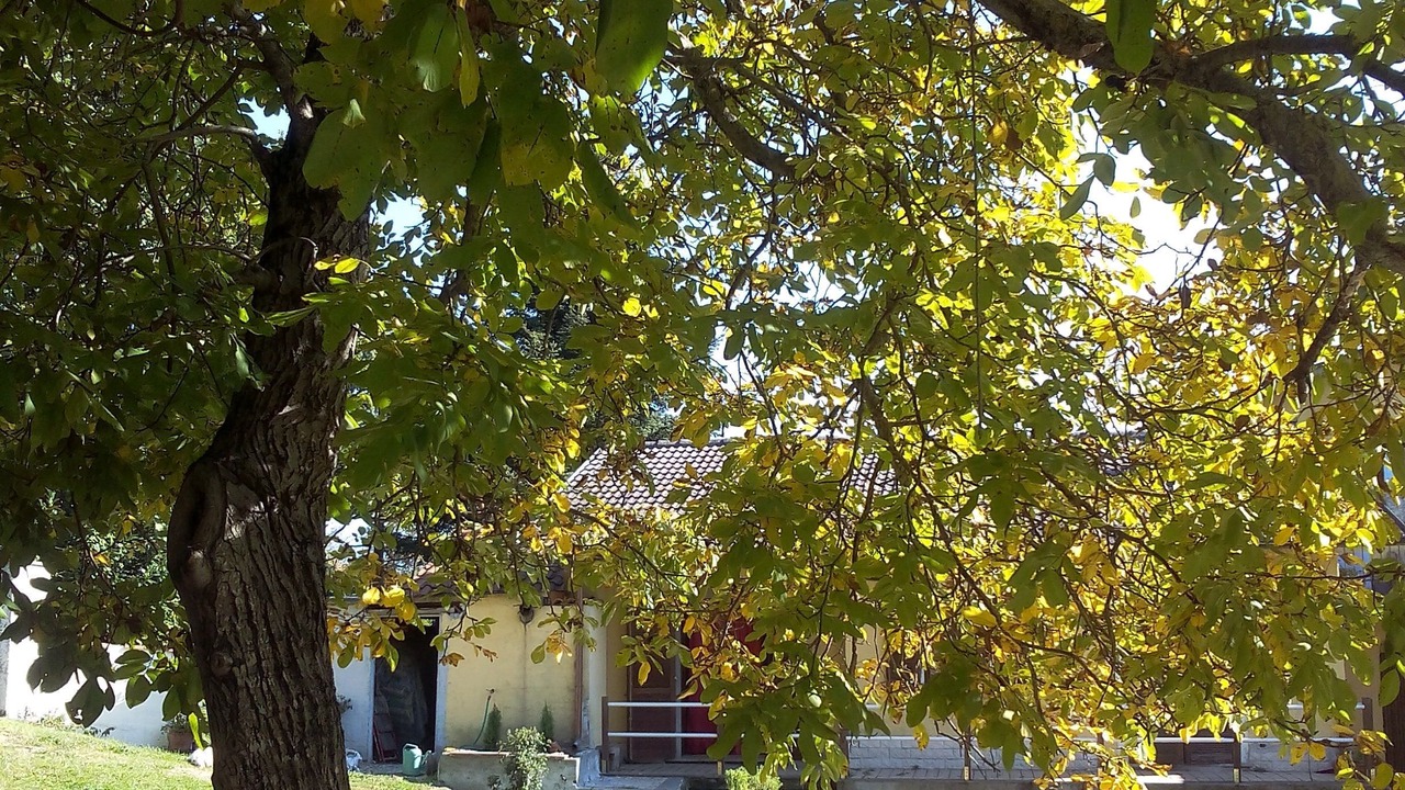 Photo of Outdoor in Castel Giorgio