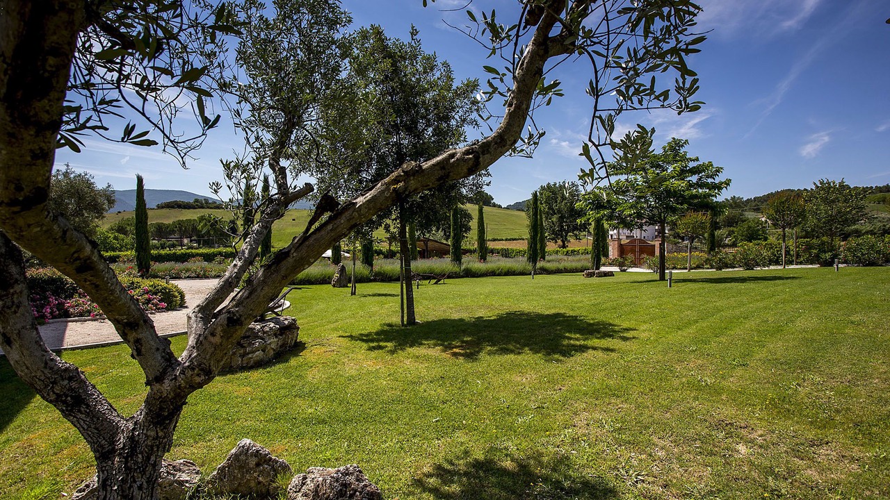 Photo of Outdoor in Crocemaroggia