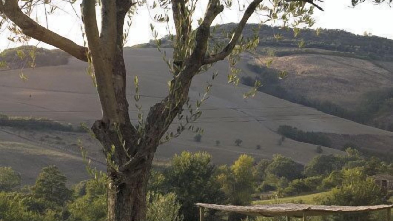 Photo of Outdoor in San Casciano dei Bagni