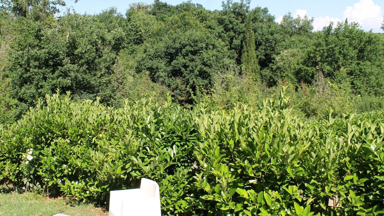 Photo of Outdoor in Sutri