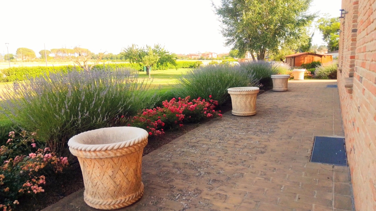 Photo of Outdoor in Santa Maria degli Angeli