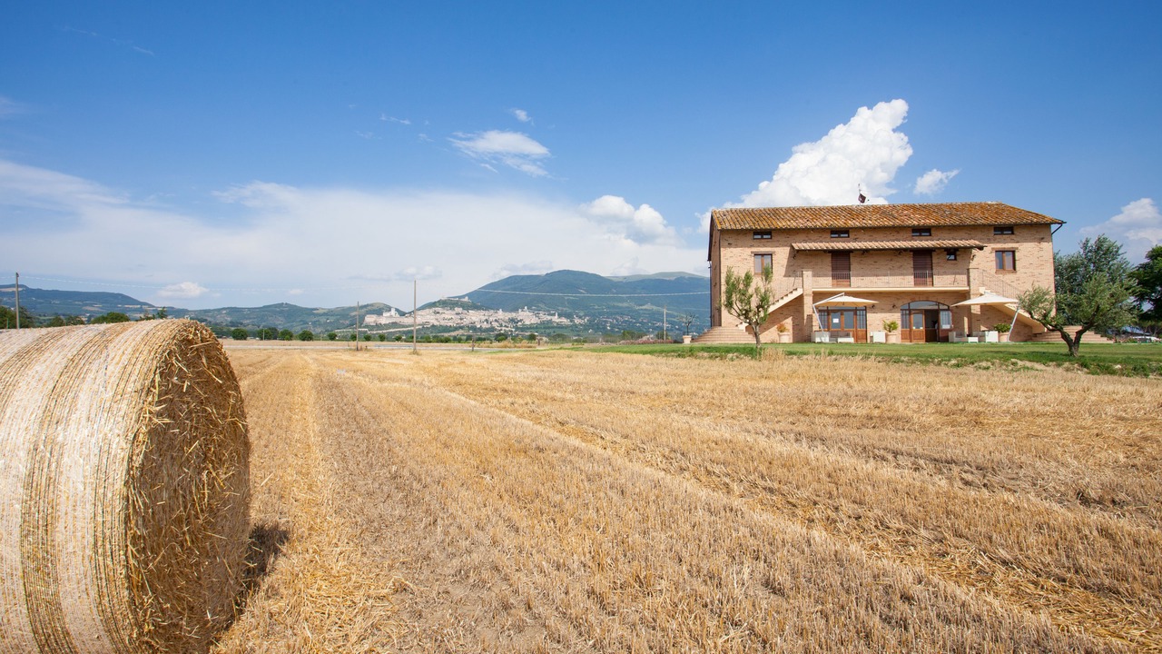 Photo of Others in Santa Maria degli Angeli