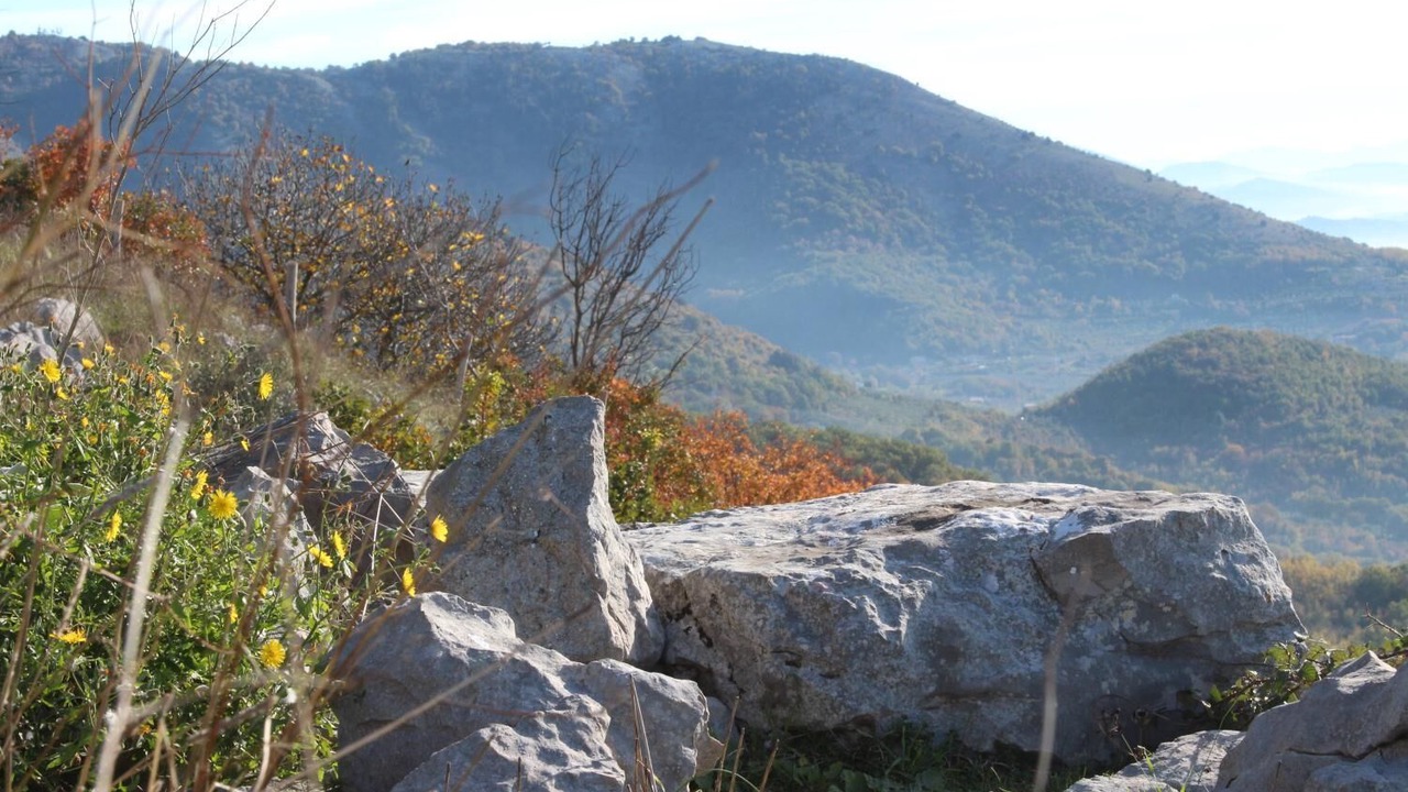 Photo of Outdoor in Castel San Pietro Romano