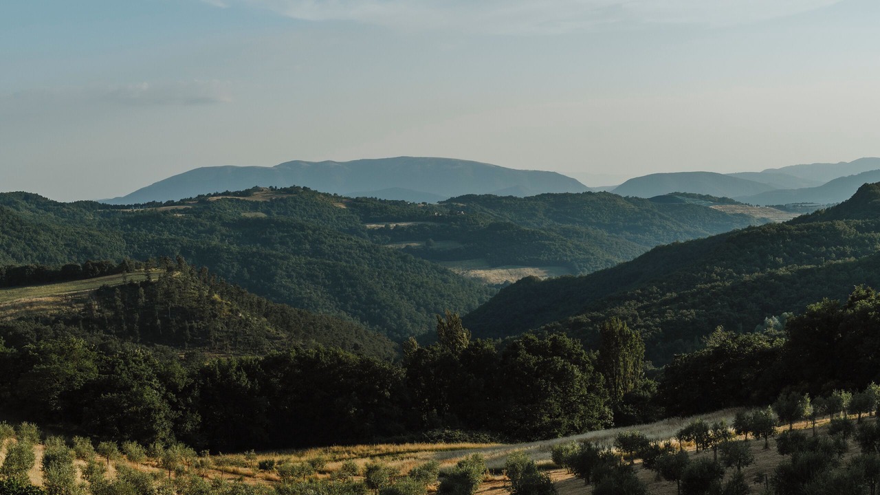 Photo of Others in Montelovesco