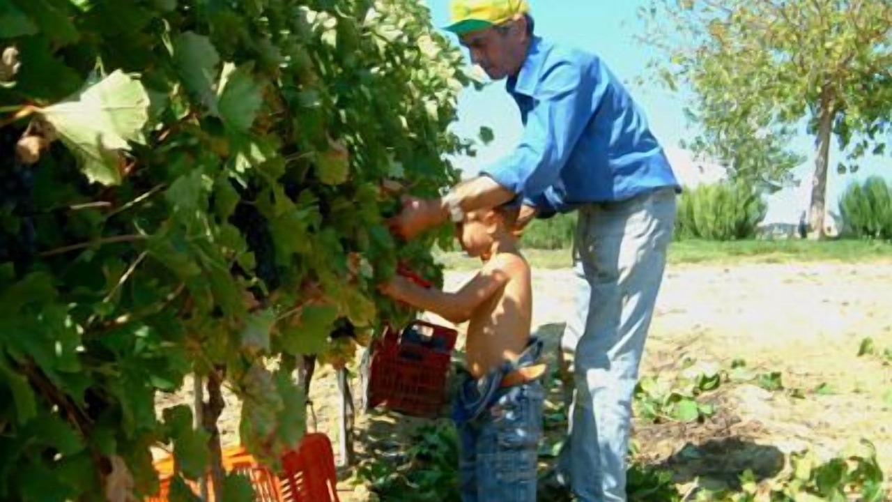 Photo of Outdoor in Tarquinia