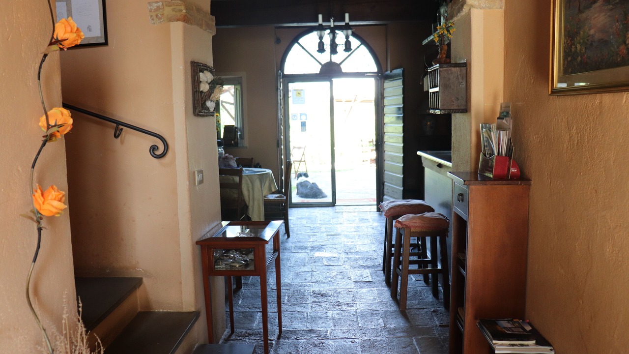 Photo of Others in Santa Reparata