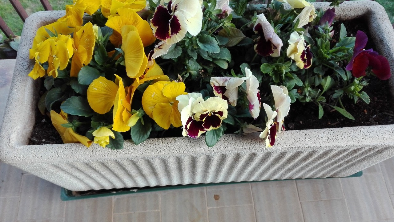 Photo of Outdoor in Castiglione del Lago