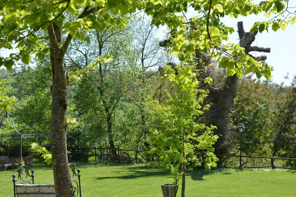 Photo of Outdoor in Magliano Sabina