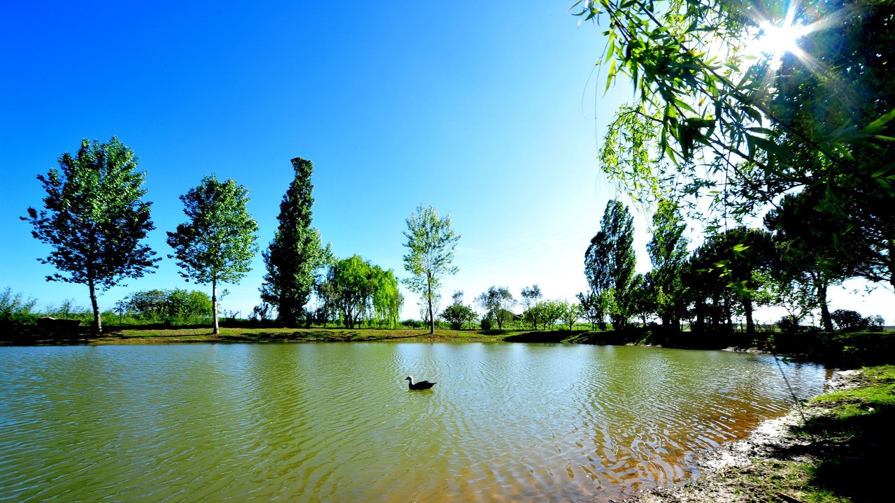 Photo of Outdoor in Campiglia Marittima