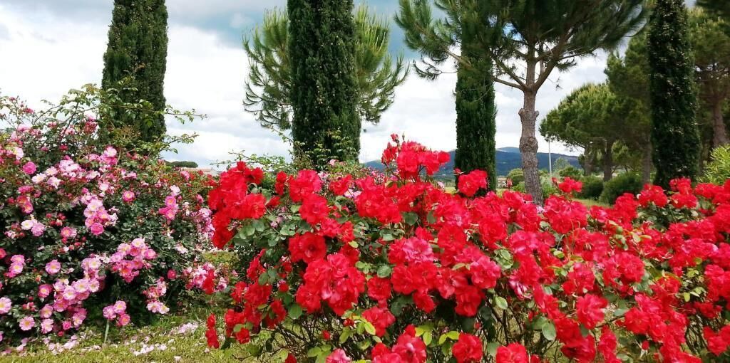 Photo of Outdoor in Campiglia Marittima