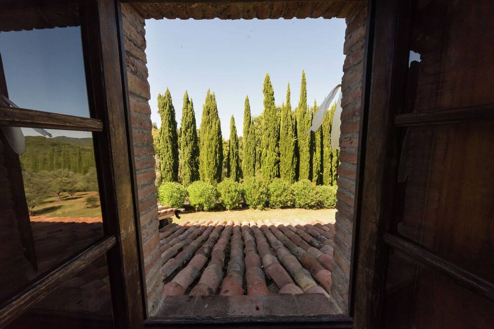 Photo of Others in Castelnuovo di Val di Cecina