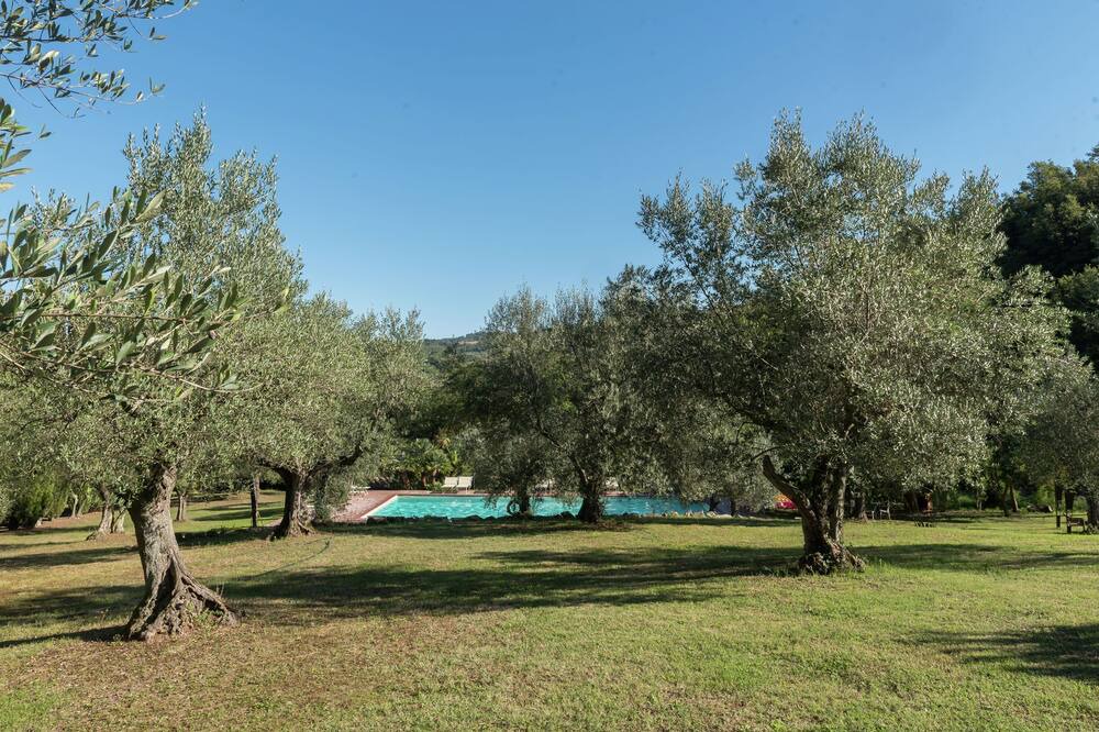 Photo of Outdoor in Castelnuovo di Val di Cecina