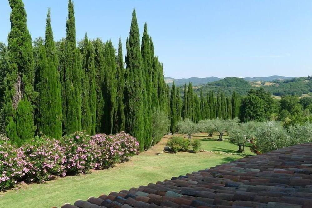 Photo of Others in Castelnuovo di Val di Cecina
