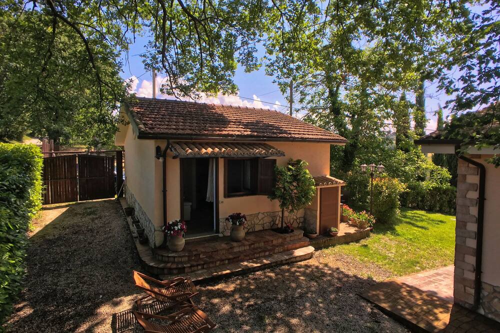 Photo of Outdoor in Selci