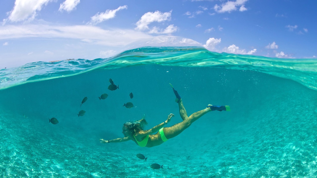 Photo of Others in Key West