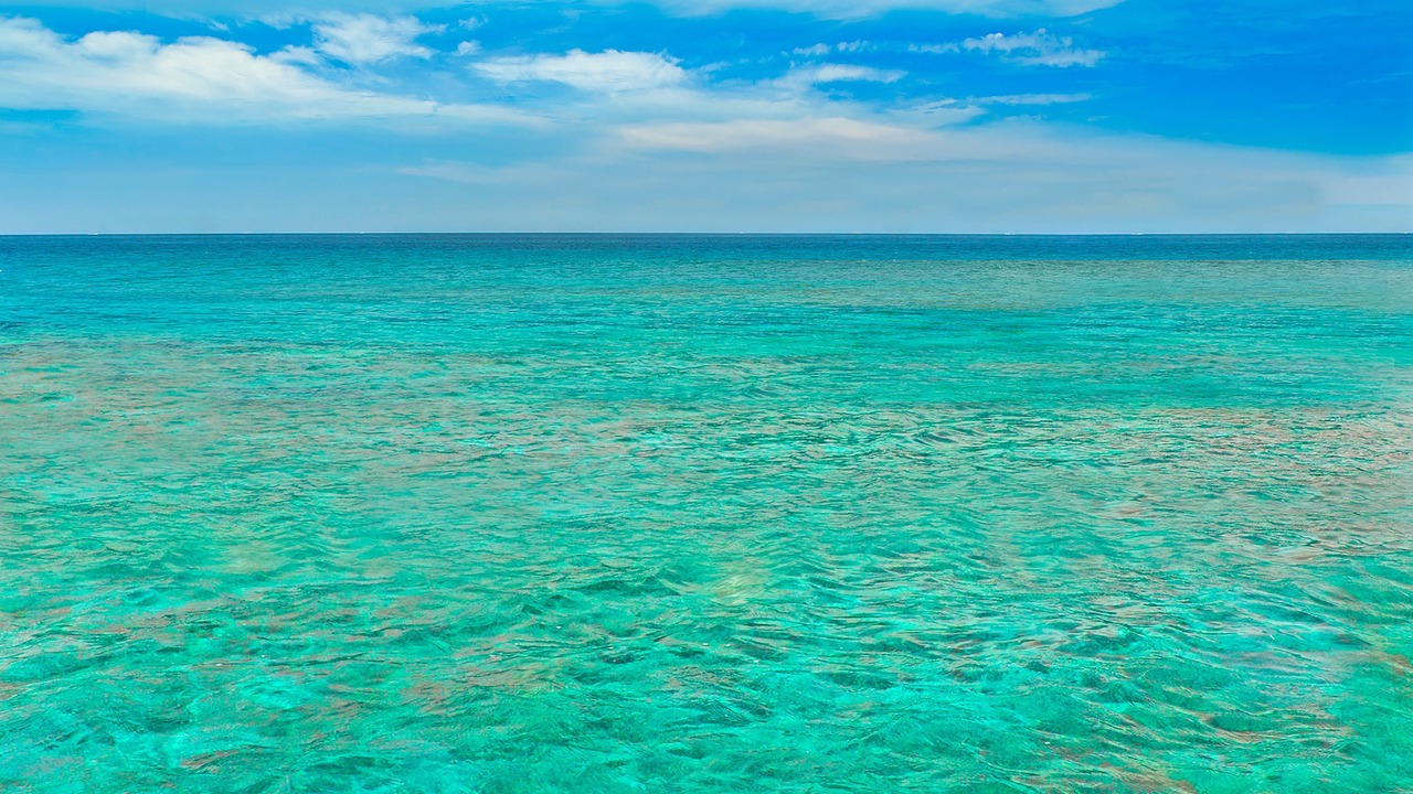 Photo of Others in Key West