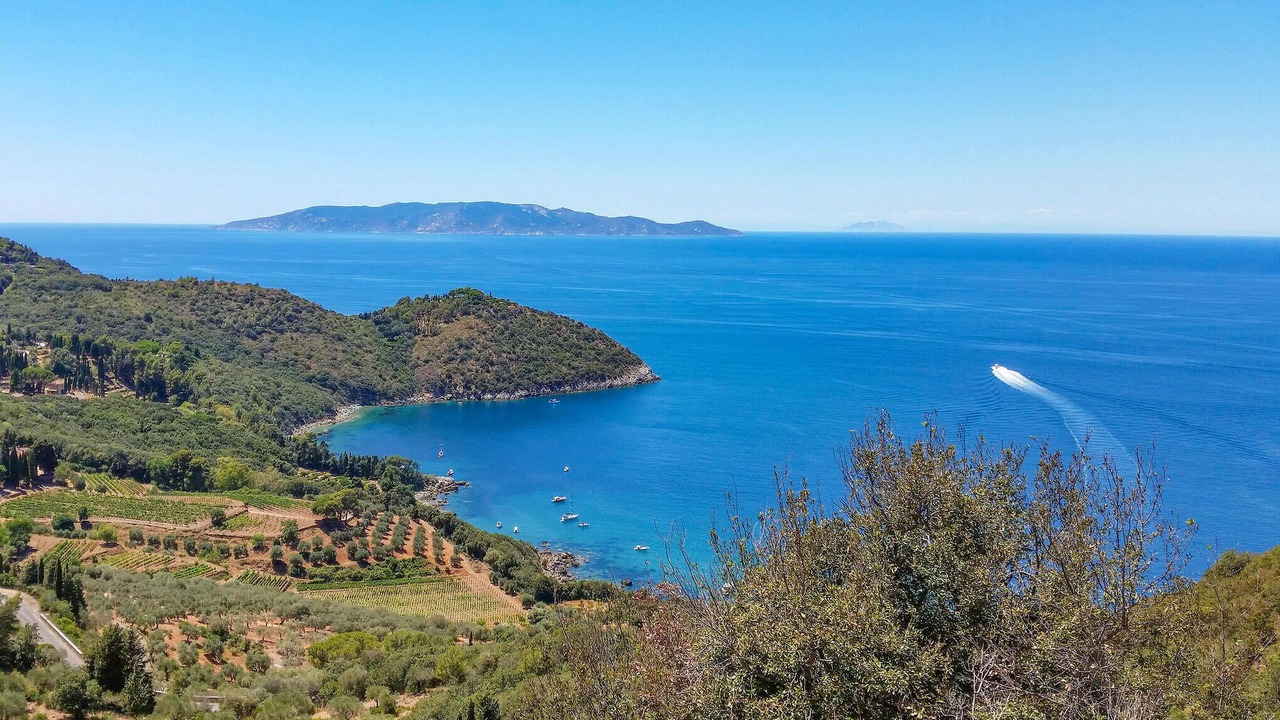 Photo of Others in Talamone