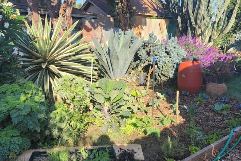 Photo of Outdoor in North Long Beach