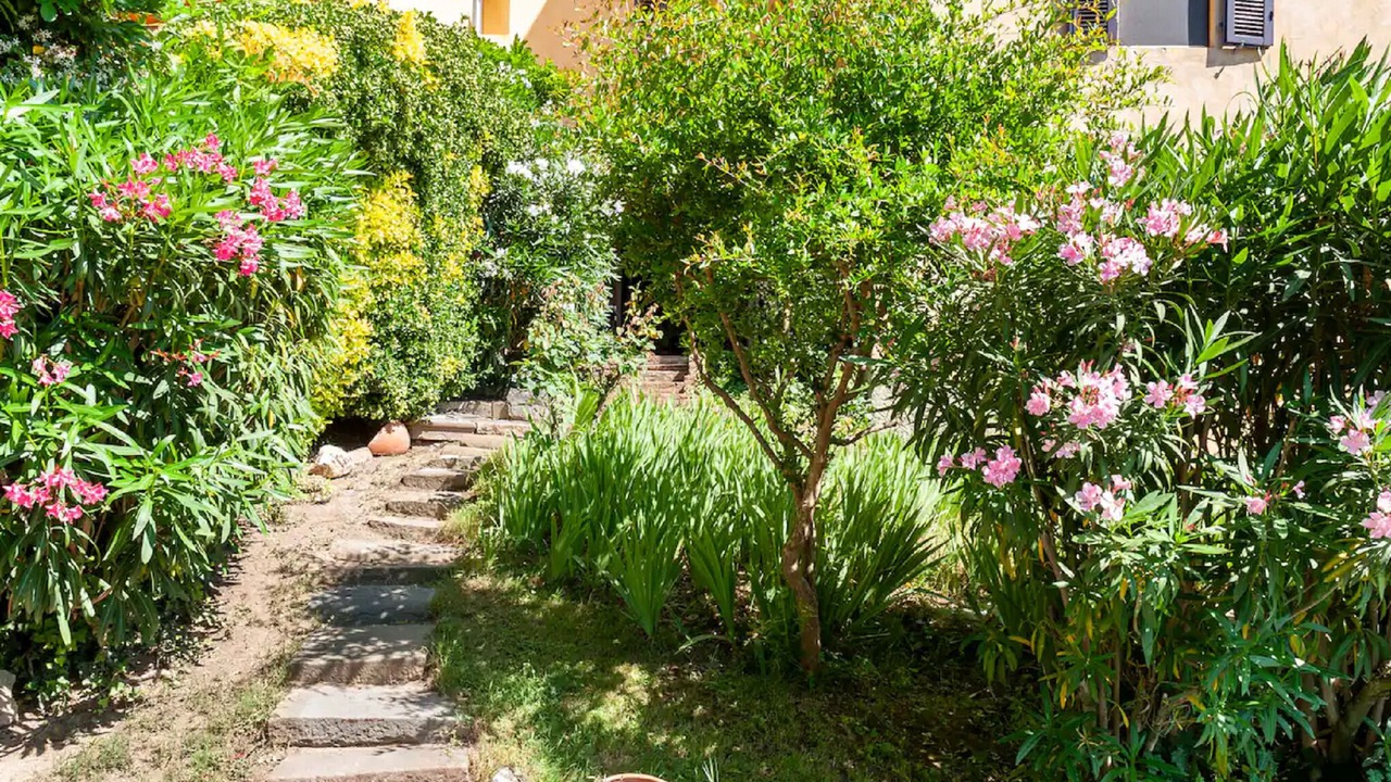 Photo of Outdoor in Castagneto Carducci