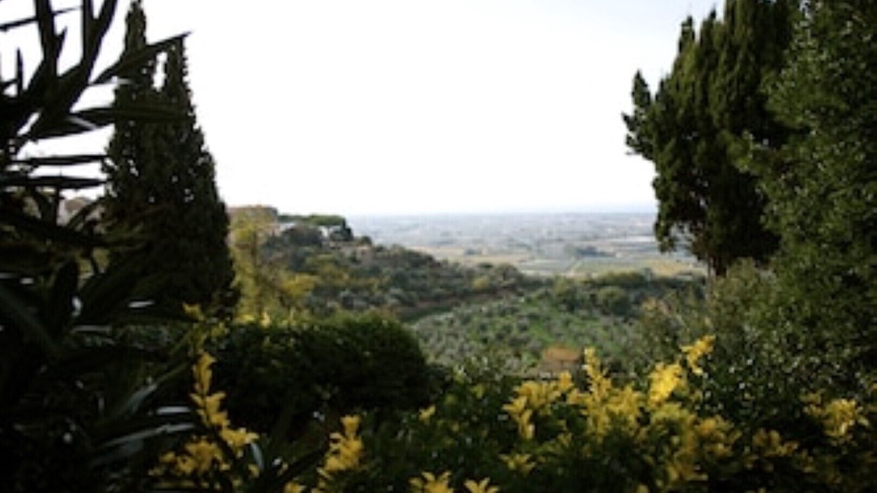 Photo of Others in Castagneto Carducci