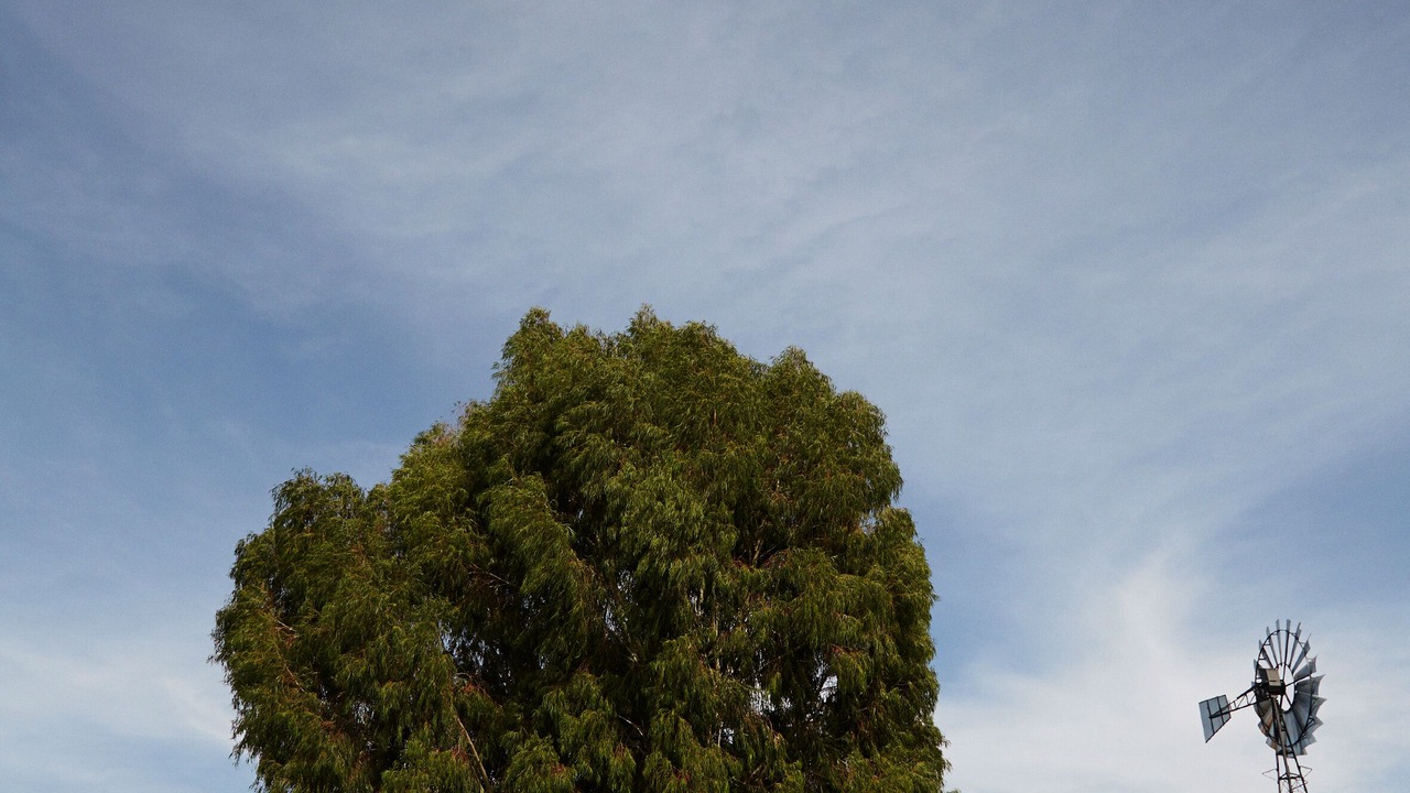 Photo of Outdoor in Tarquinia