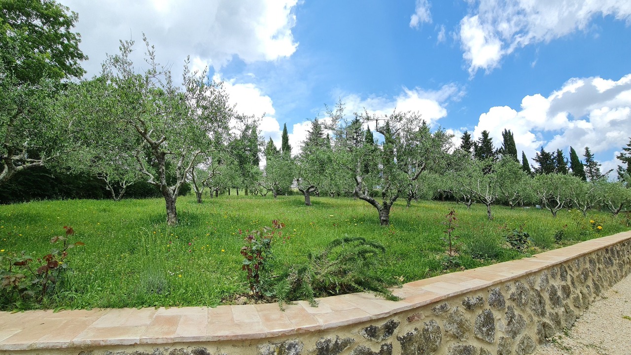 Photo of Outdoor in Radicofani