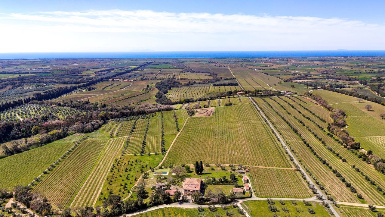 Photo of Outdoor in Bolgheri